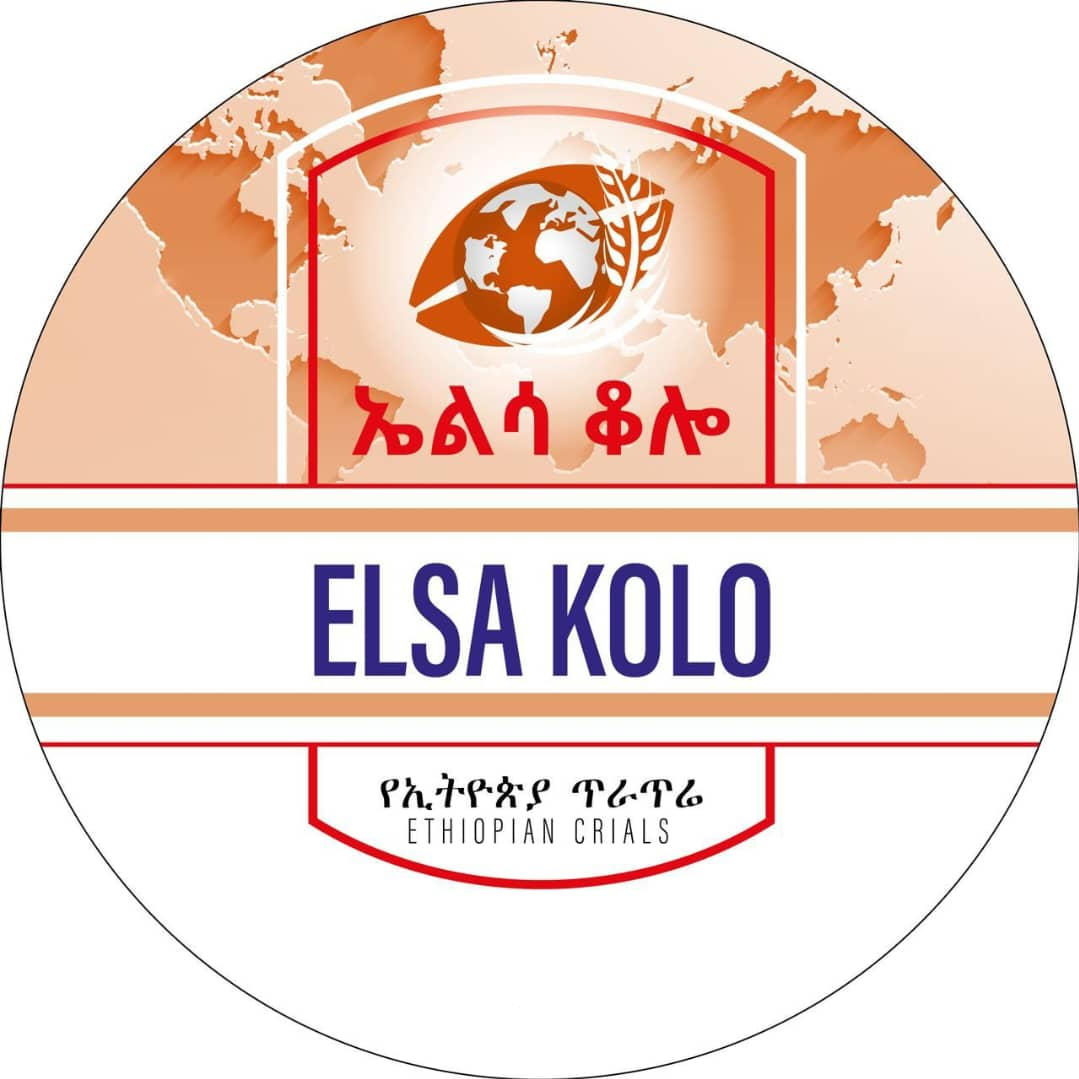 cropped-ElsaLogo-1.png